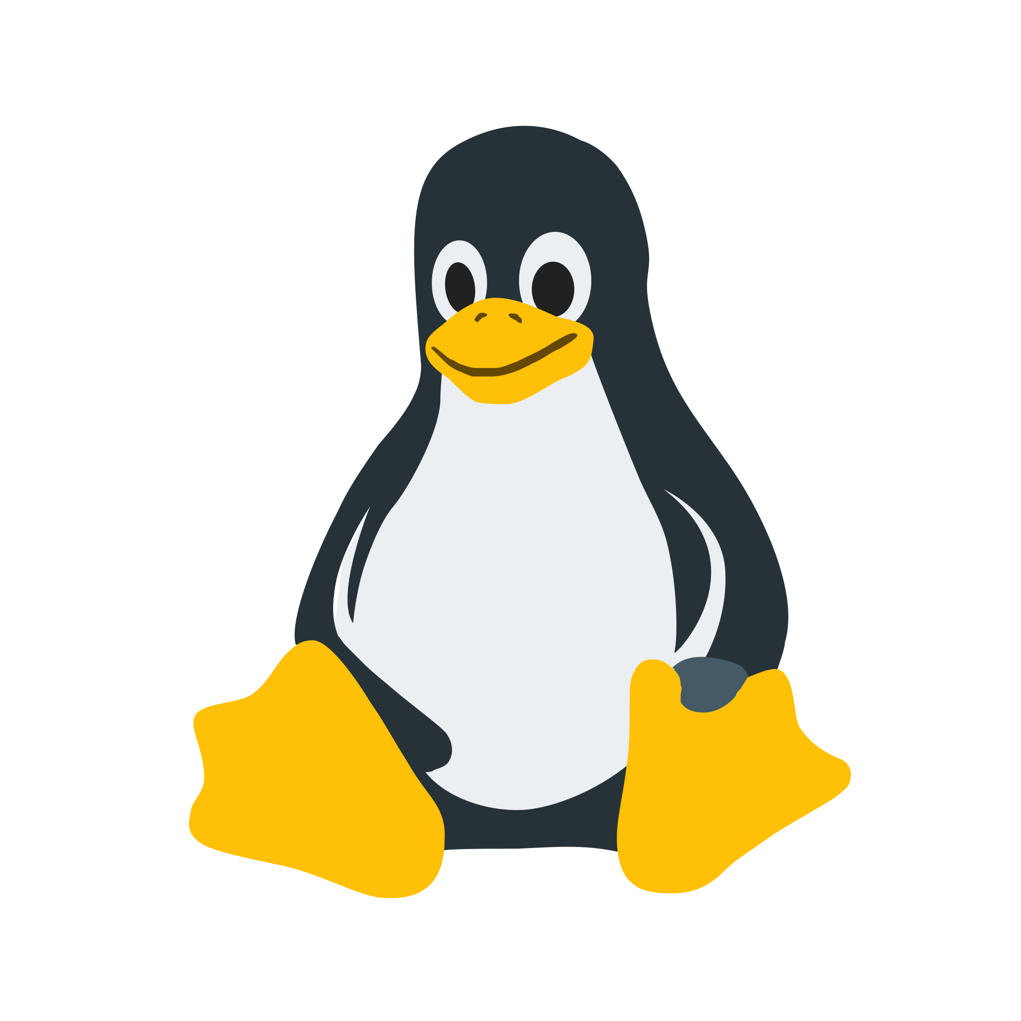 Linux Logo
